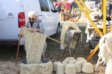 Gregorjev Sejem 2025, Foto-Maticˇ Andrej (25)